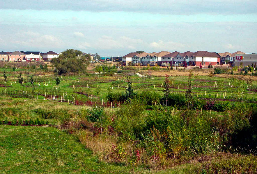 Natural Habitat Restoration