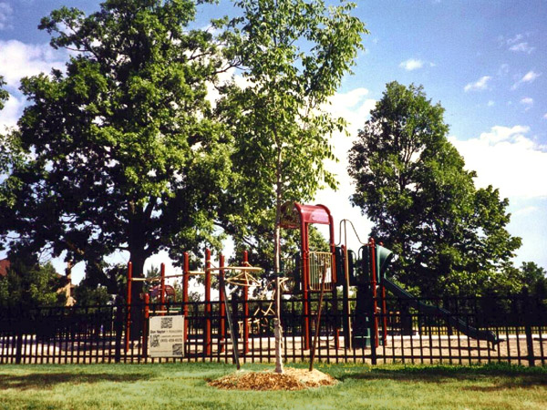 Avoca Park, Markham playground